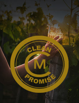 mc clean property card