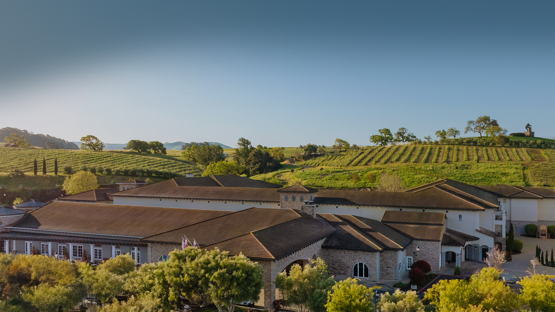 Couple Biking Through Vineyards