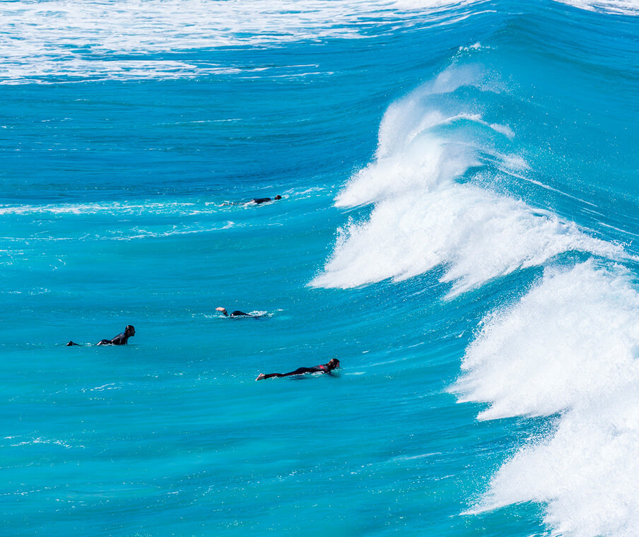 Surfers in Ocean