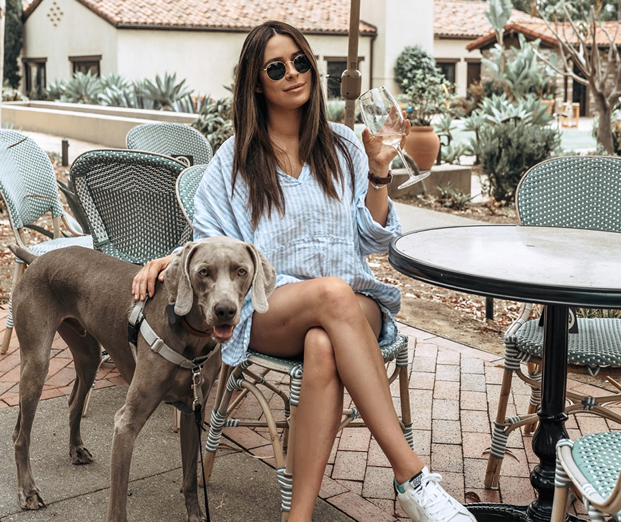 dog friendly hotels san diego, pet friendly hotels la jolla