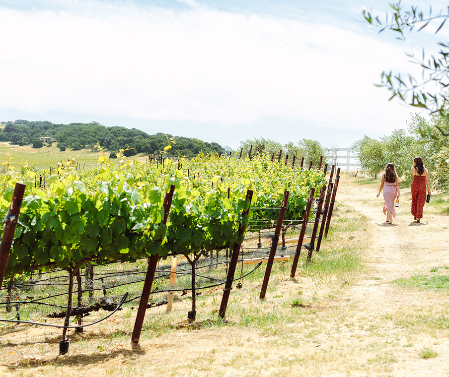 women walking through vineyard