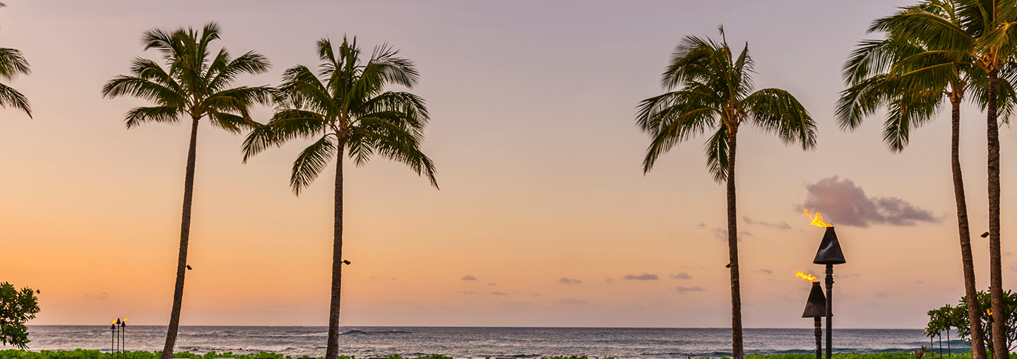 Poipu Sunset Palms