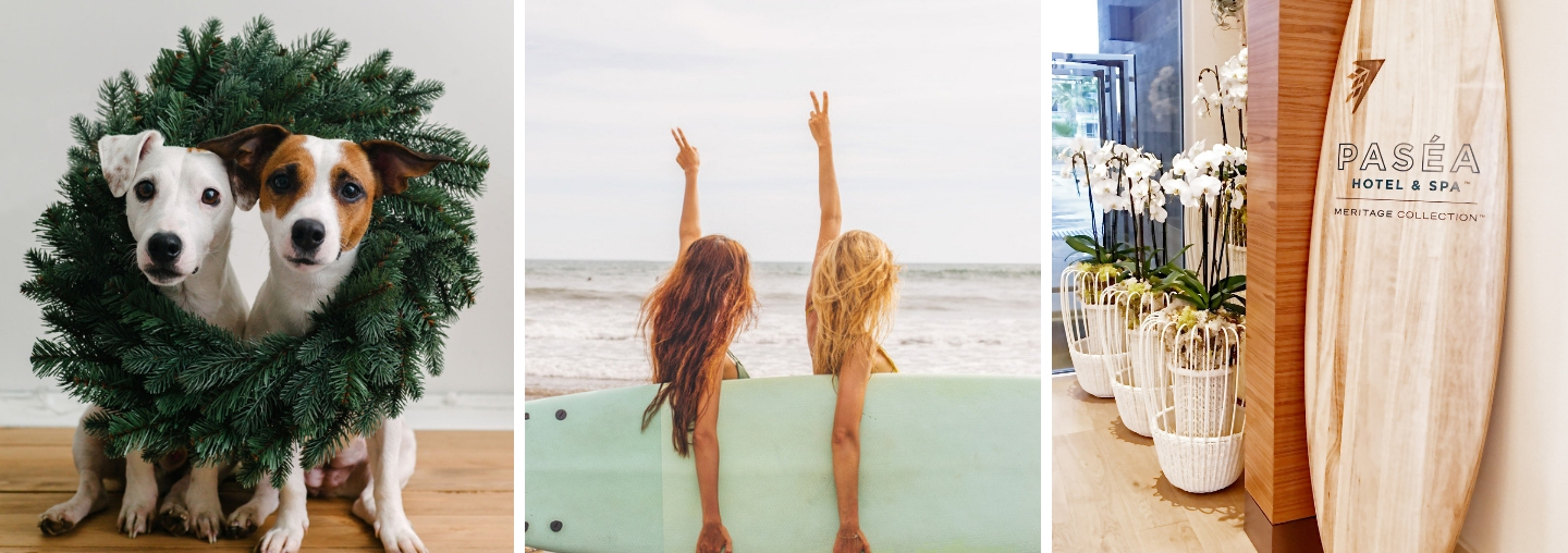 Surfer Girls