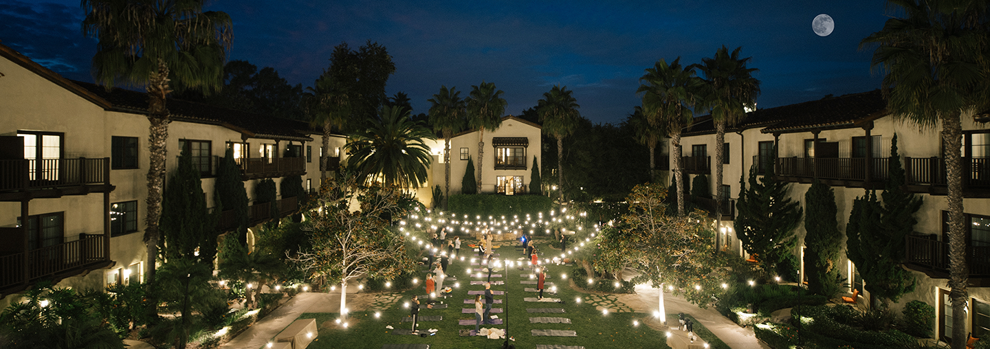 garden courtyard at night