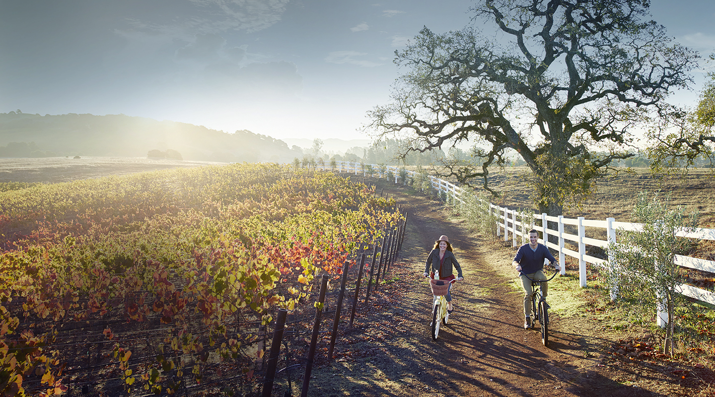 Couple riding bikes in vineyard