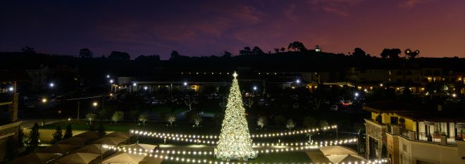 Mobile: Christmas Tree at Vista Collina Resort