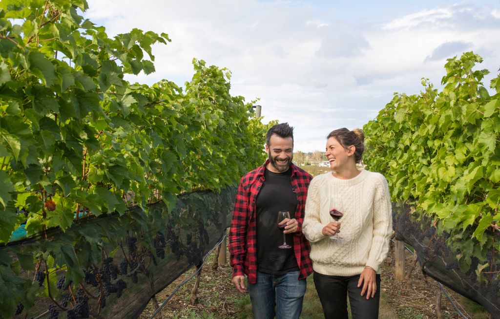 couple walking through vineyard