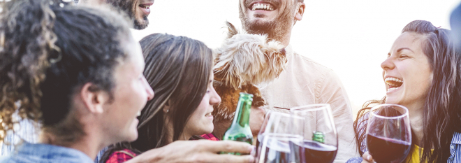 Mobile: friends toasting with wine while holding a dog