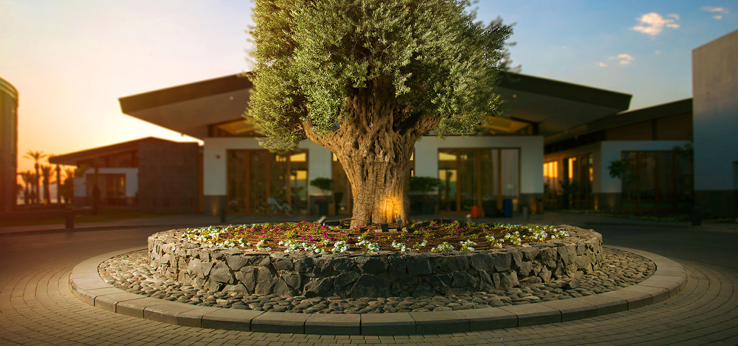 The Setai Sea Of Galilee a Luxury Hotel