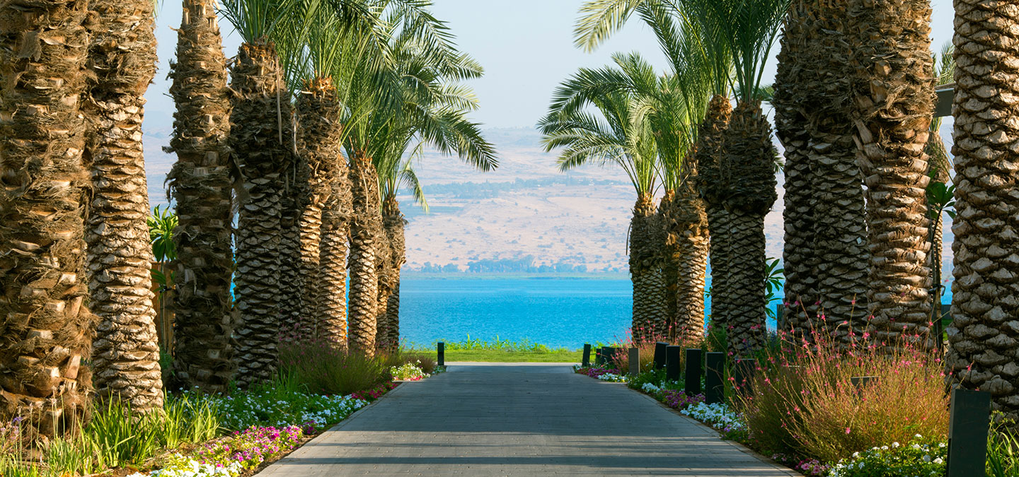 The Setai Sea Of Galilee a Luxury Hotel